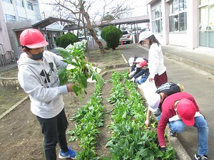 IMG_2935 IMG_2935