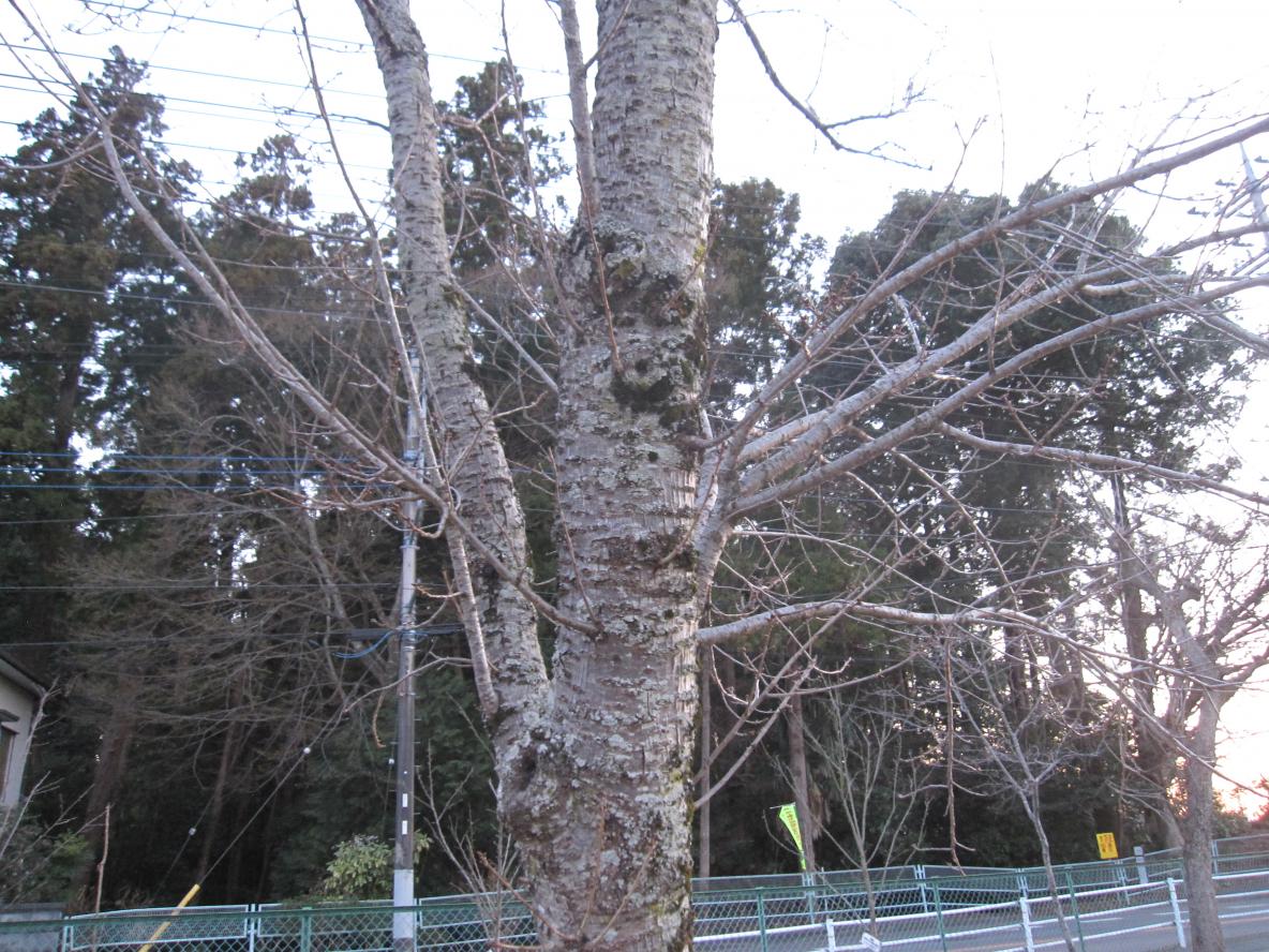 IMG_2349 IMG_2349