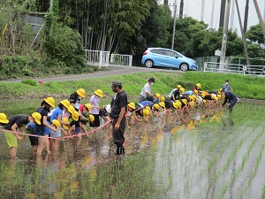 IMG_2855 IMG_2855