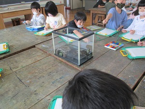 IMG_3106 IMG_3106