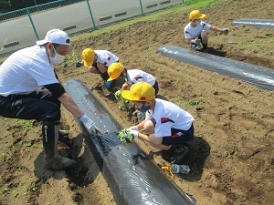 IMG_0076 IMG_0076