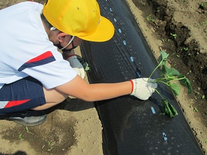 IMG_0079 IMG_0079