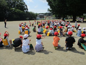 IMG_3141 IMG_3141