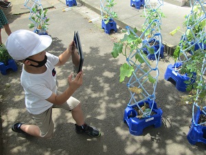 IMG_0148 IMG_0148