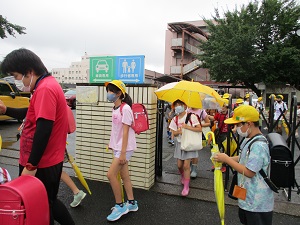 IMG_0241 IMG_0241