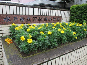 IMG_0239 IMG_0239