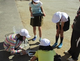 IMG_3309 IMG_3309