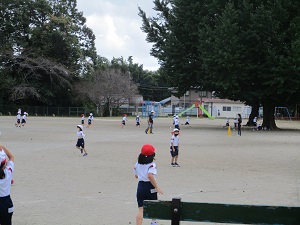 IMG_3319 IMG_3319