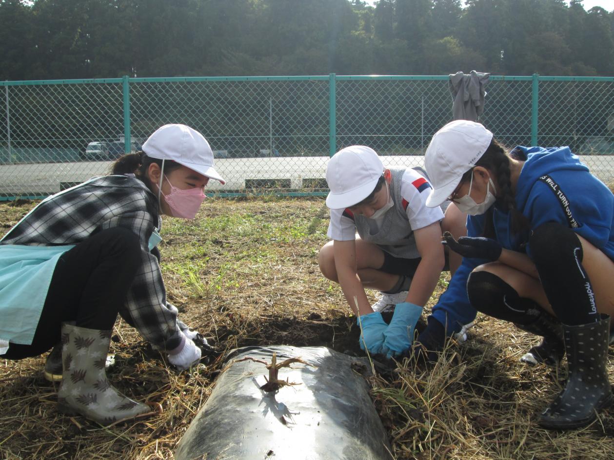 IMG_5327