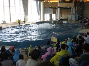 IMG_2037 IMG_2037