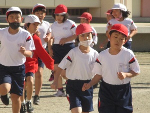 IMG_0381 IMG_0381