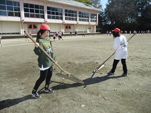 IMG_0379 IMG_0379