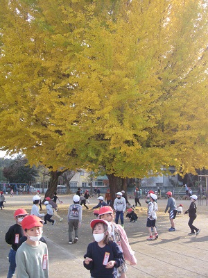 IMG_8743 IMG_8743