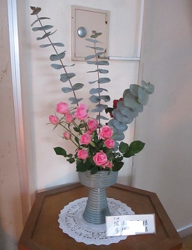 IMG_3743 IMG_3743