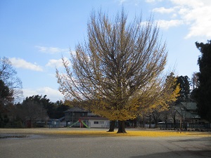 IMG_0634 IMG_0634