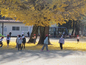 IMG_0632 IMG_0632