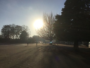 IMG_5770