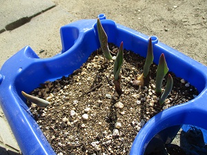 IMG_1496 IMG_1496