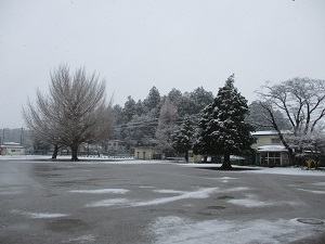 IMG_0298 IMG_0298