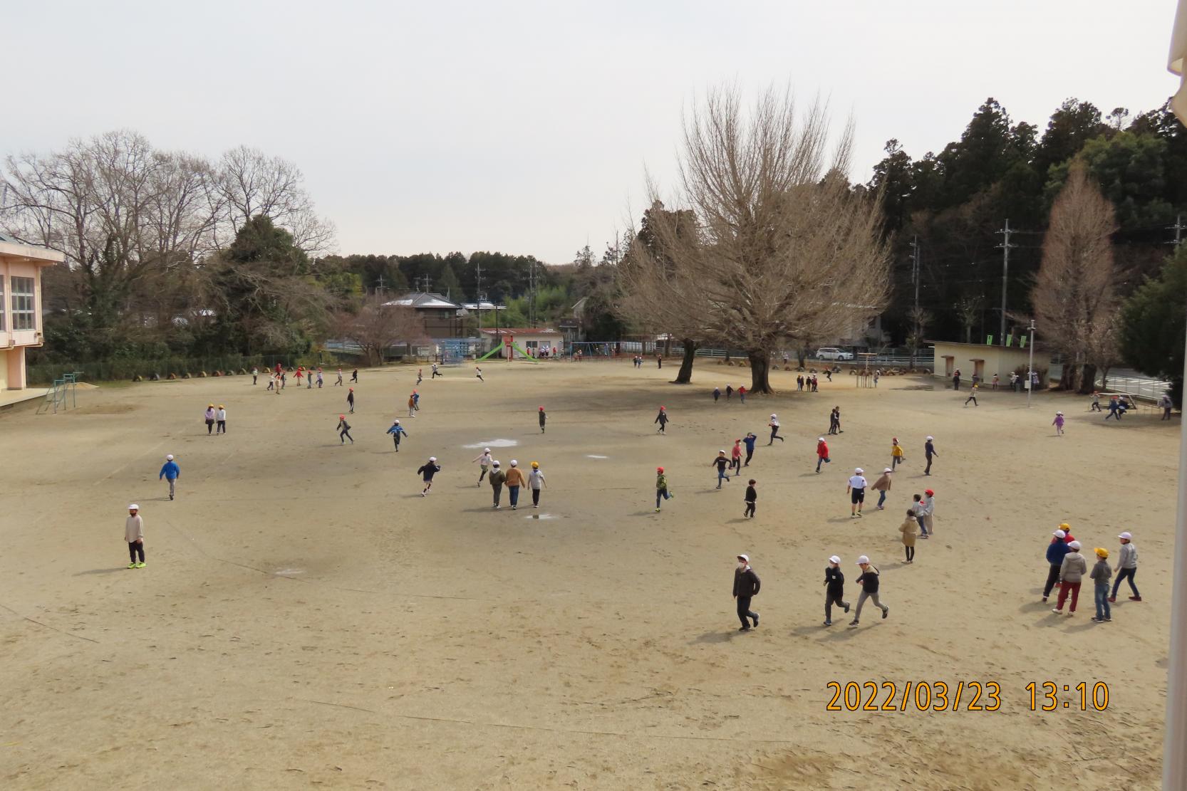 IMG_0032 IMG_0032