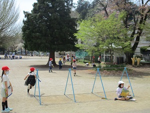 IMG_0697 IMG_0697