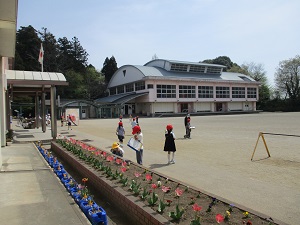 IMG_0696 IMG_0696