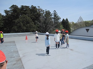 IMG_2782 IMG_2782