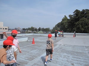 IMG_2783 IMG_2783