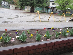IMG_5794 IMG_5794