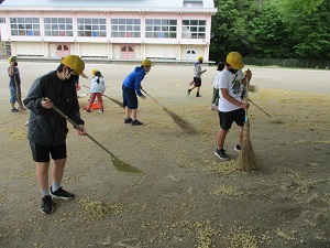 IMG_5850 IMG_5850