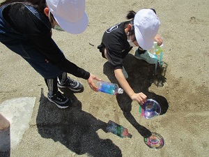 IMG_5714 IMG_5714