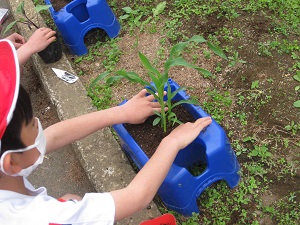 IMG_2386 IMG_2386