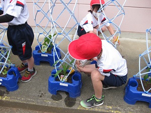 IMG_2390 IMG_2390