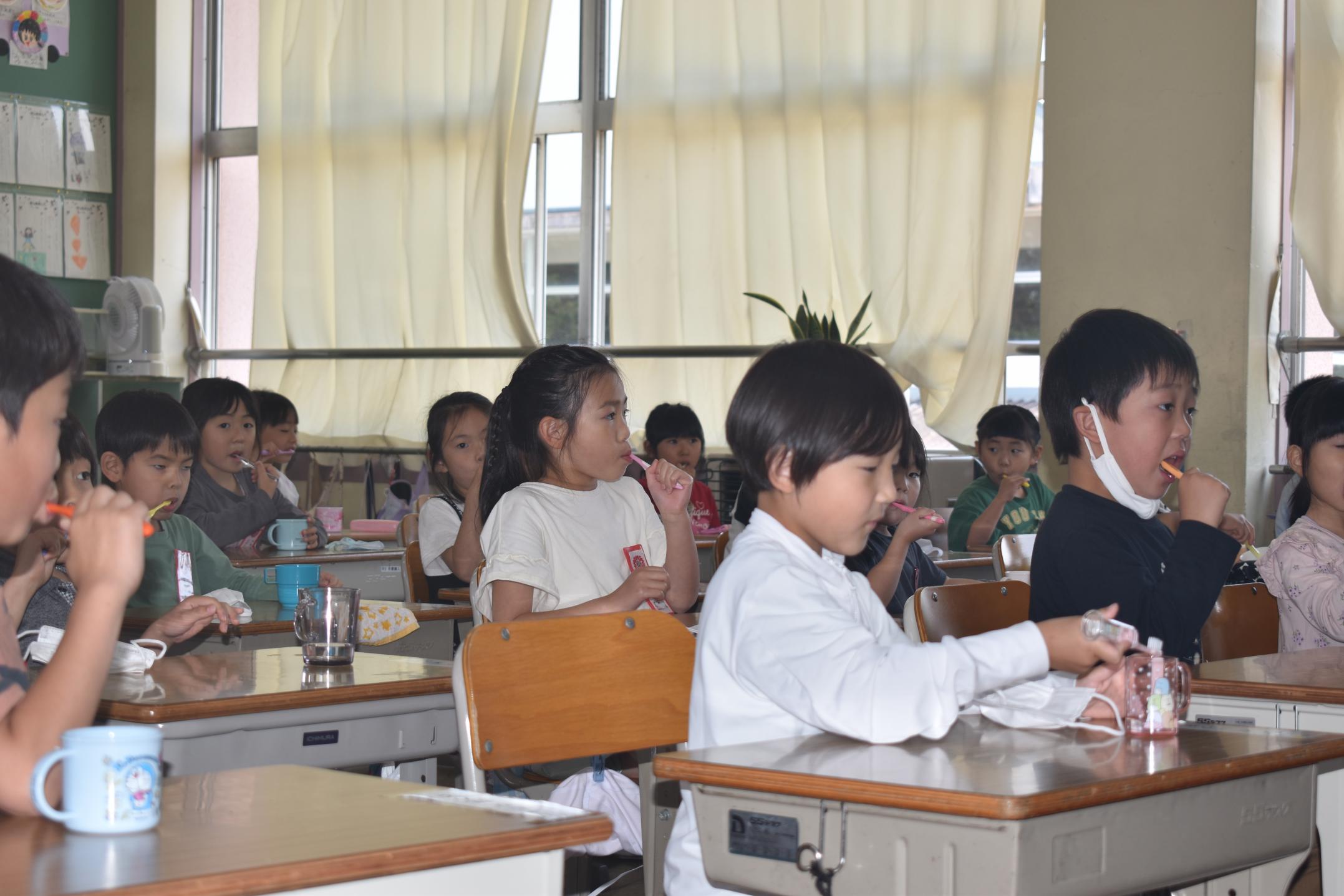 1年歯磨き 1年歯磨き