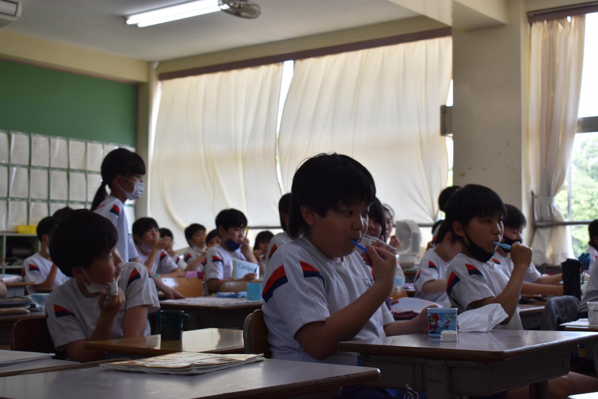 5年歯磨き 5年歯磨き