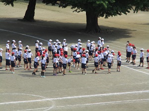IMG_5869 IMG_5869