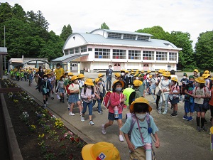 IMG_2408 IMG_2408