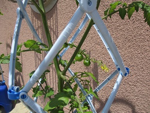 IMG_5605 IMG_5605