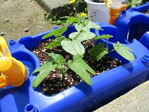 IMG_5608 IMG_5608