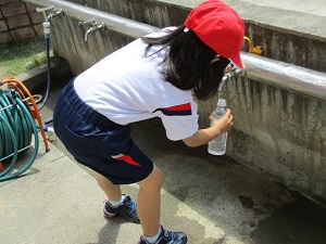 IMG_5593 IMG_5593