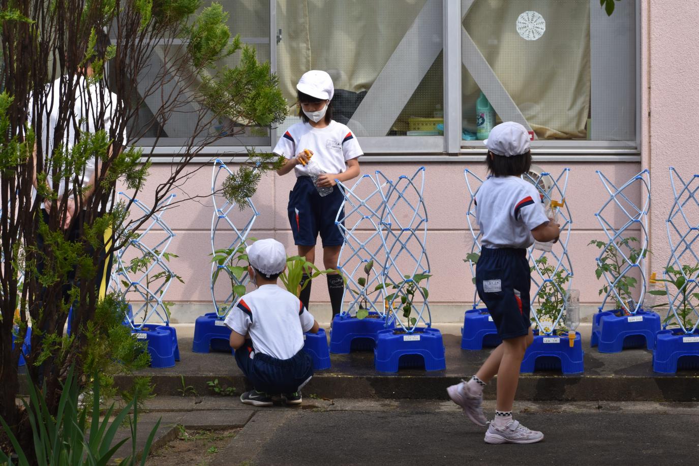 生活科 生活科
