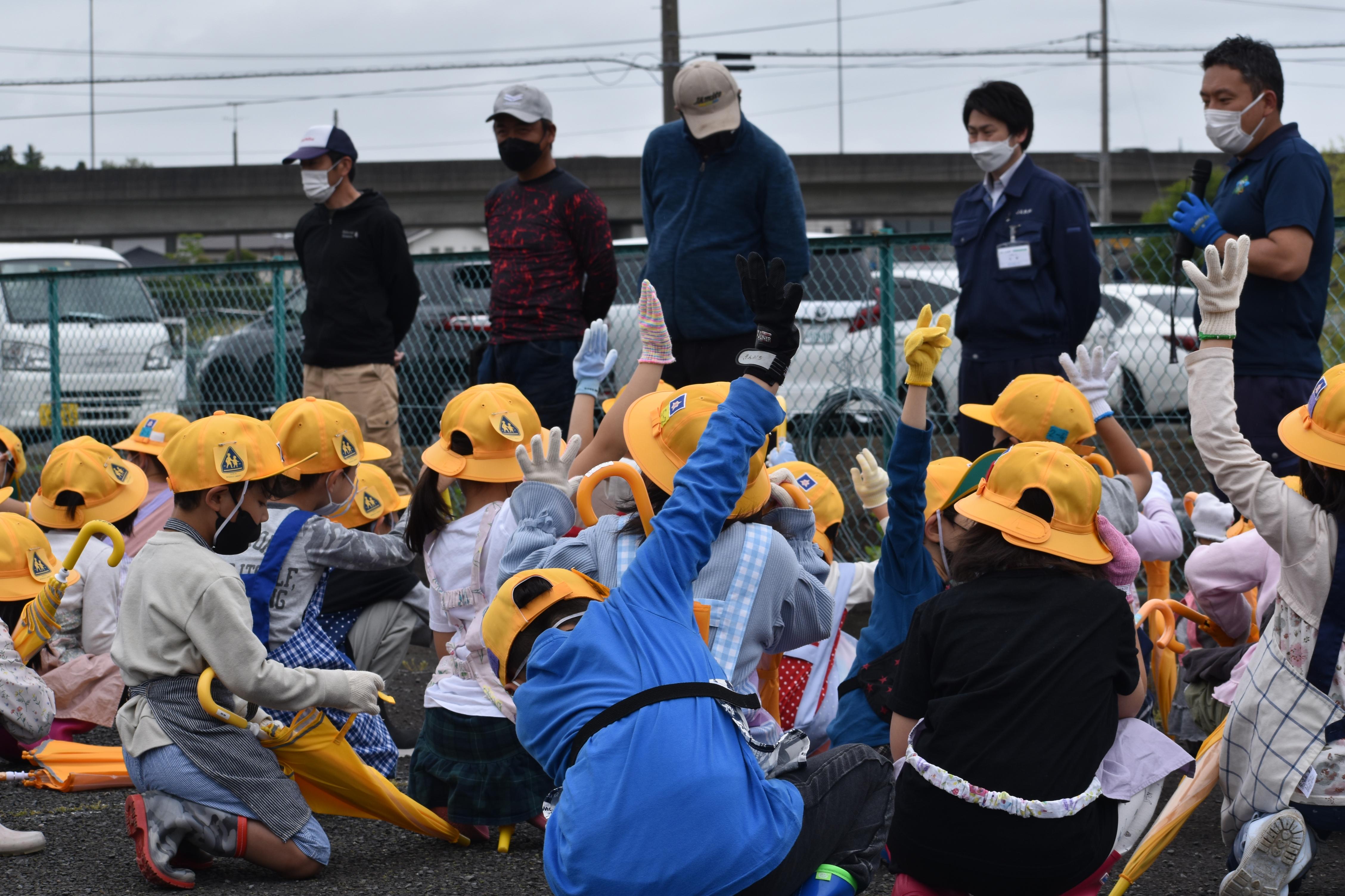 さつまいも栽培 さつまいも栽培
