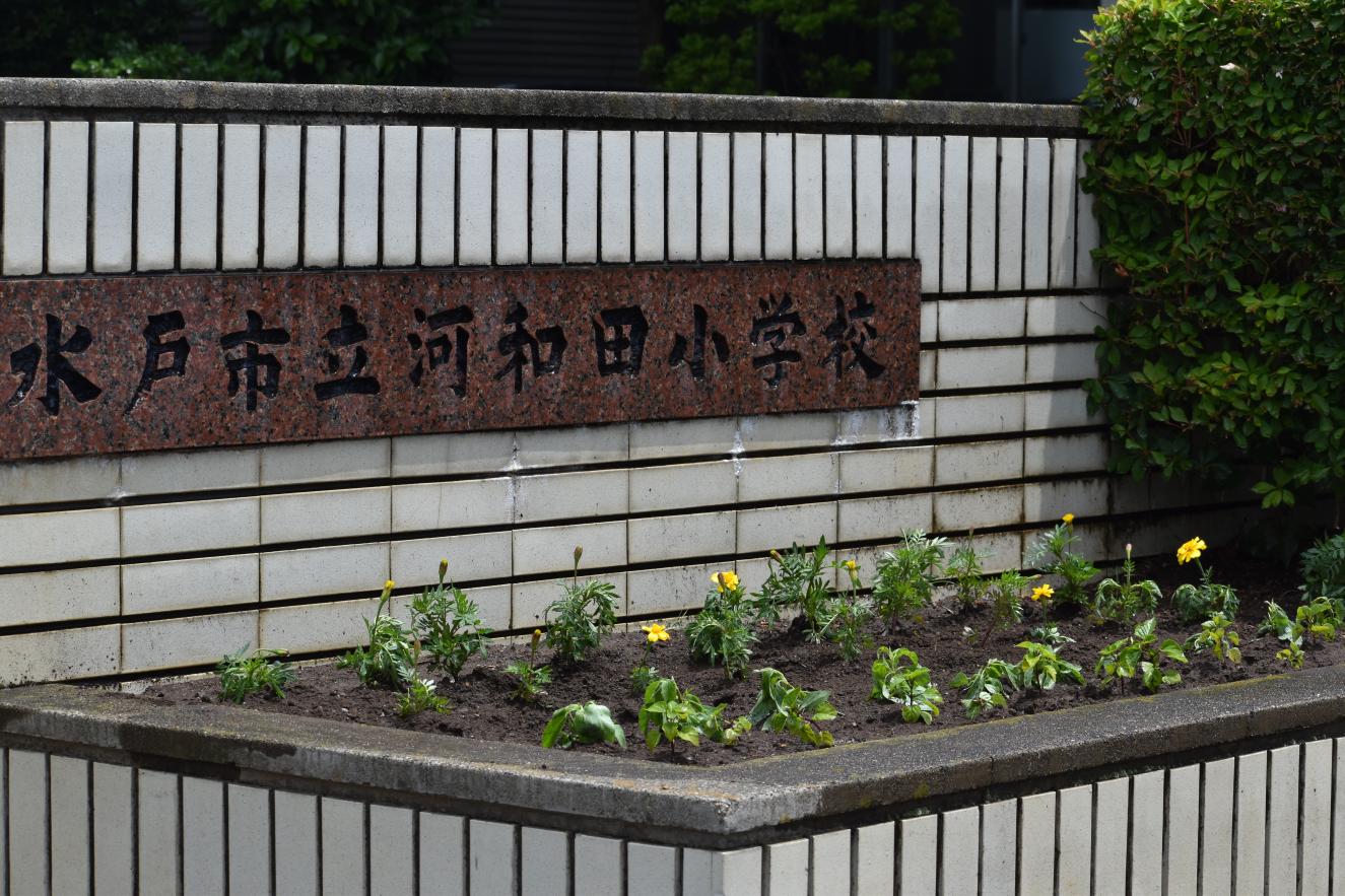 花壇 花壇
