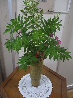 IMG_4488 IMG_4488