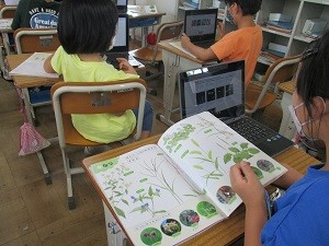 IMG_0844 IMG_0844