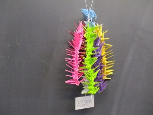 IMG_0855 IMG_0855