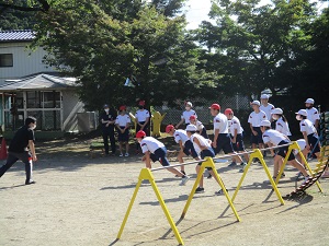 IMG_0860 IMG_0860