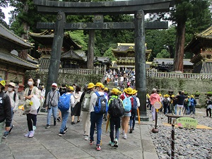 IMG_6108 IMG_6108