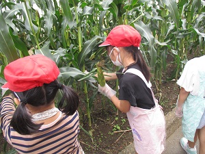 IMG_5840 IMG_5840