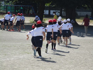 IMG_6734 IMG_6734